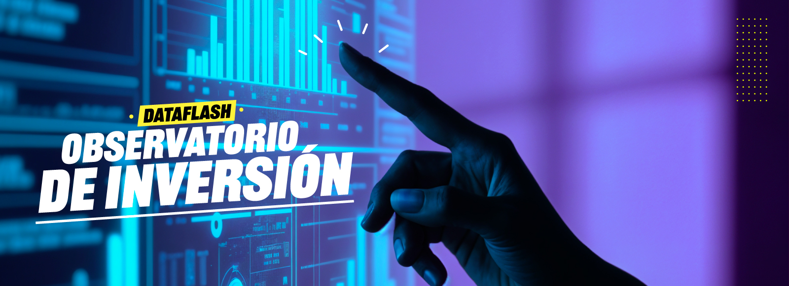 Observatorio de inversión 2024